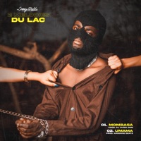 2 Melodies Du Lac - Single - Samy palila