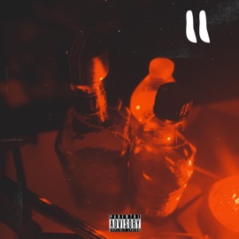 LUV (feat. Torie Medusa) [Remix] Rob Wyze