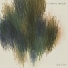 Shannon Wright Accidental Division