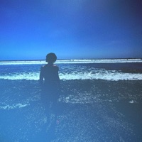 Semi-Serene - Vice Vincent