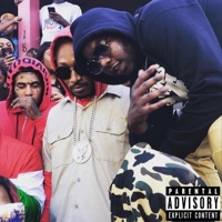 Trap Report Card - Single - Big Fvme