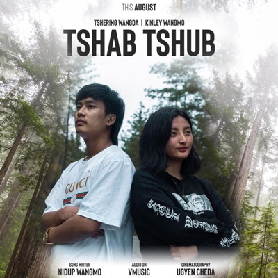 Tshab Tshub (feat. Kinda Melody) - Single