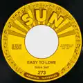 Easy To Love