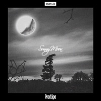 Sunny Moon - Single - Stay Lo. & prod.Lipe
