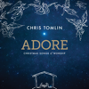 Noel (feat. Lauren Daigle) [Live] - Chris Tomlin