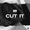 Cut It (feat. Young Dolph) - O.T. Genasis lyrics