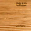 Marko Brdnik & Uroš Rakovec - Andaluse