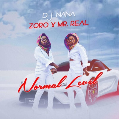 Normal Level (feat. Mr Real & Zoro) - Single