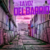 Solo - Single - Dkno