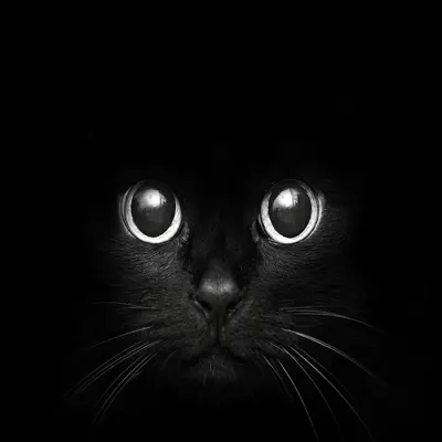 Los Ojos de Martín (feat. Malimagen) - Single - Santiago Insane