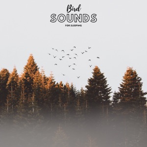 Bird Sounds For Sleeping - Single