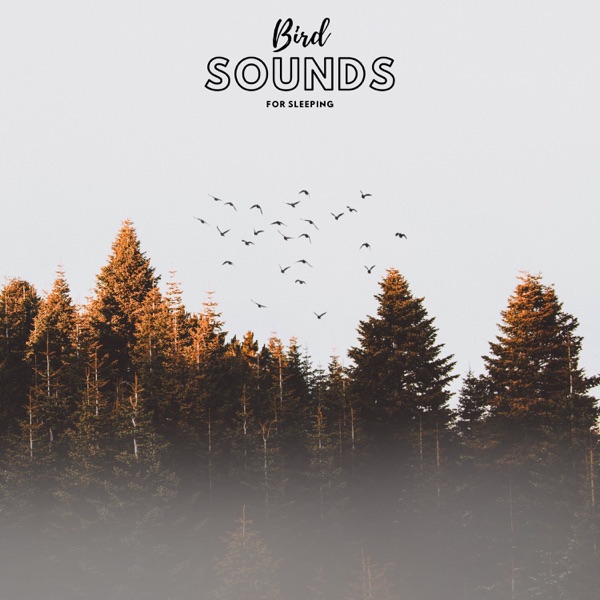 Bird Sounds For Sleeping - Single
