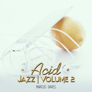 Acid Jazz: Volume 2, Acid Jazz Classics, The Best of Acid Jazz & Funky Grooves, Cool Lounge Music 2021