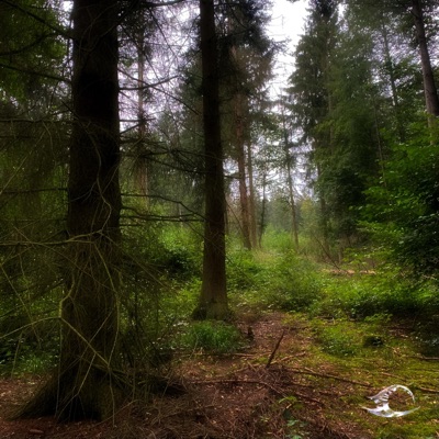 miss you.v3 - Single