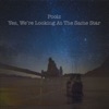 Yes, We're Looking At the Same Star - Single