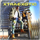 Xtraexotic (feat. Large Pro) artwork