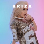 Kriza (feat. Davor V & Skankdafaka) [Radio Edit] artwork