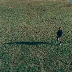 Pandarappeur dinle, müzik videolarını izle, biyografisini oku, tur tarihlerini ve daha fazlasını gör!