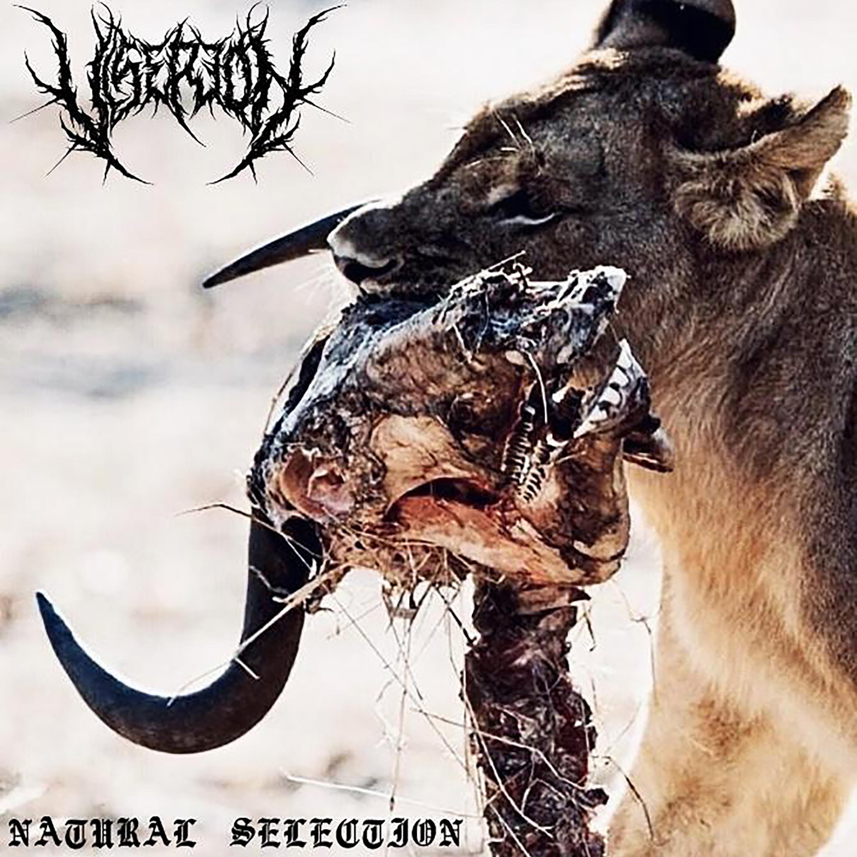 The Wraith (feat. Trevor Strnad) - Single