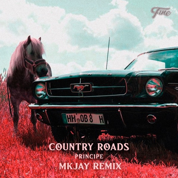 Country Roads (MKJAY Remix) - Single