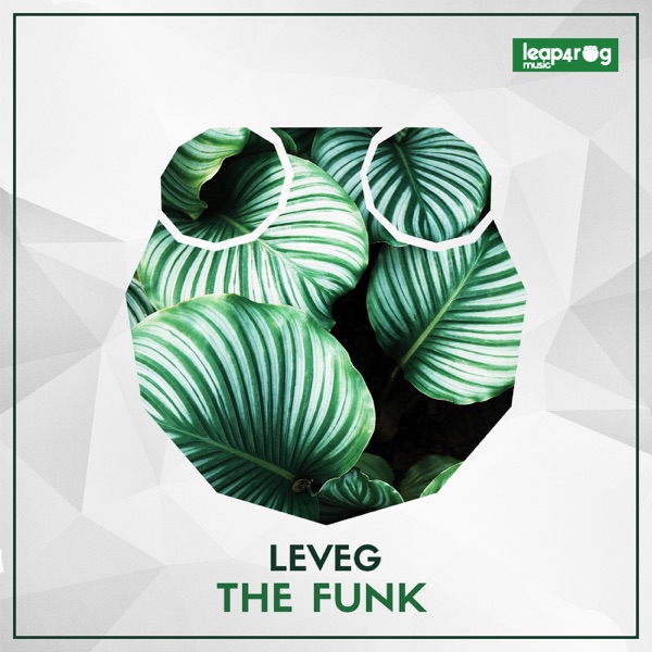 The Funk - Single