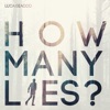 How Many Lies? - Single