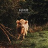 Bucolic (feat. Tomasz Dabrowski, Szymon Wójcik & Filip Arasimowicz) - Single