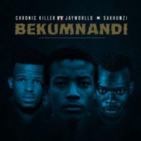 Bekumnandi (feat. Jayworlld & Sakhumzi) - Single - Chronic Killer