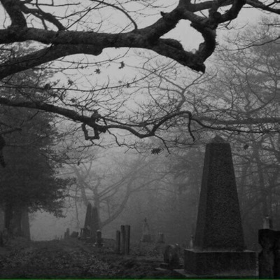 Not the Same - Single