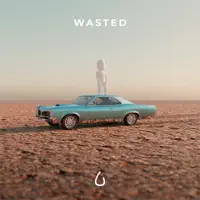 WASTED — COLOURS IN THE STREET, LONELY IN THE RAIN