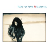 Tears for Fears - Mr. Pessimist