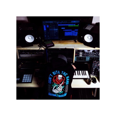 The come down (feat. Mitch the Hero) - Single