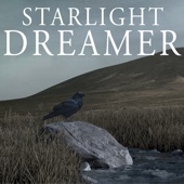 Starlight Dreamer artwork