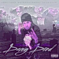 Dawg Died (feat. Ygb Shaun) - Single - 59kane
