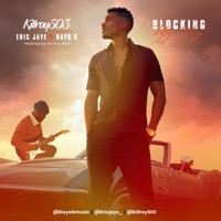 BLOCKING MY WAY (feat. ERIC JAYE, DAYO G, RAS KASS, LIL FLIP & CHAPTA) [REMIX] [REMIX] - Single - Killroy503