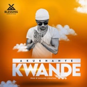 Akukhanye Kwande artwork