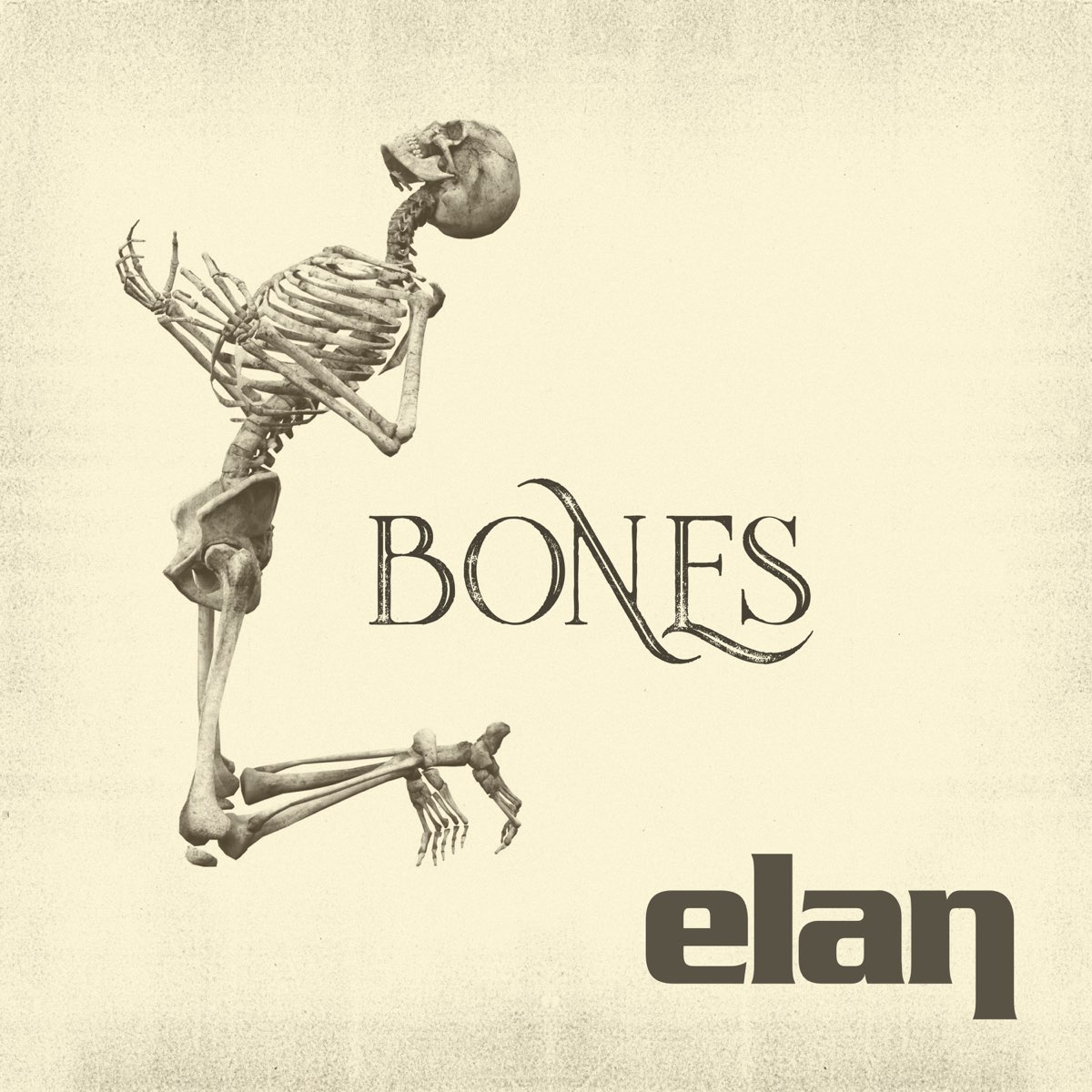 Bones ctrlaltdelete. Bones альбомы. Bones обложки альбомов. Bones сингл. Bones фотоальбомов.