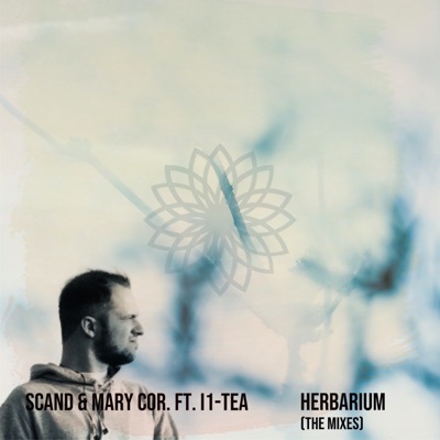 Herbarium (feat. I1-Tea) [Original Version]