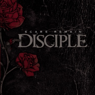 Disciple Fight for Love