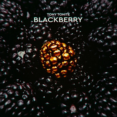 Tony Tonite - BLACKBERRY