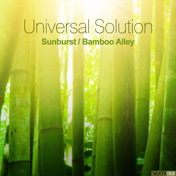 Sunburst / Bamboo Alley - Single