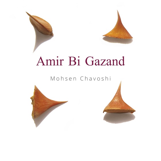 Cover artwork for Changiz