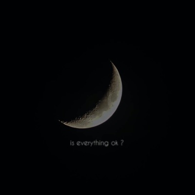 Is Everything Ok ? - Single