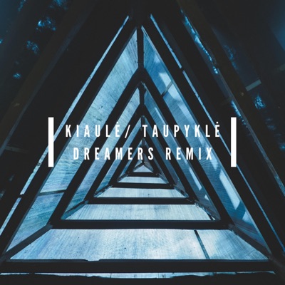 Kiaulė / Taupyklė (Dreamers remix) [Dreamers remix] - Single