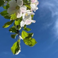 En muista eilistä - Single - Vav Project