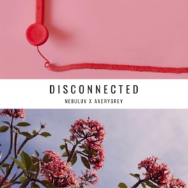 Disconnected Nebuluv & Avery Grey