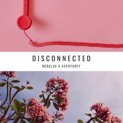 Disconnected - Single