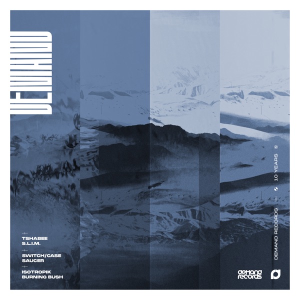 S.L.I.M / Saucer / Burning Bush - Single