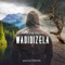 Wadidizela (feat. Msiz'kay) - JVan lyrics