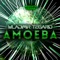 Amoeba - Wladimir Tegarid lyrics